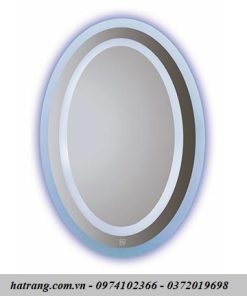 Gương đèn LED Đình Quốc DQ67030