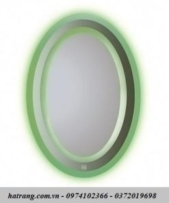 Gương đèn LED Đình Quốc DQ67031
