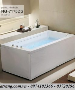 Bồn tắm Massage Nofer NG-7175DG