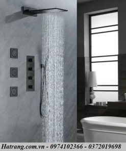Sen tắm âm tường cao cấp CleanMax SAT03